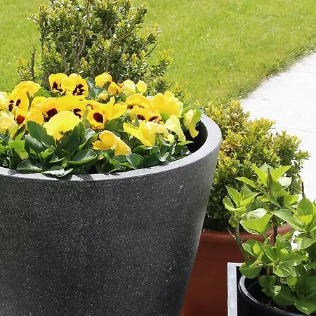 Annelou B&B 블랑켄베르크