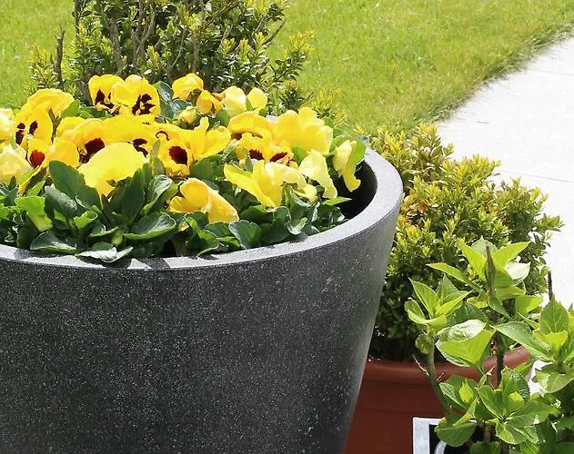 Annelou Bed & Breakfast Blankenberge